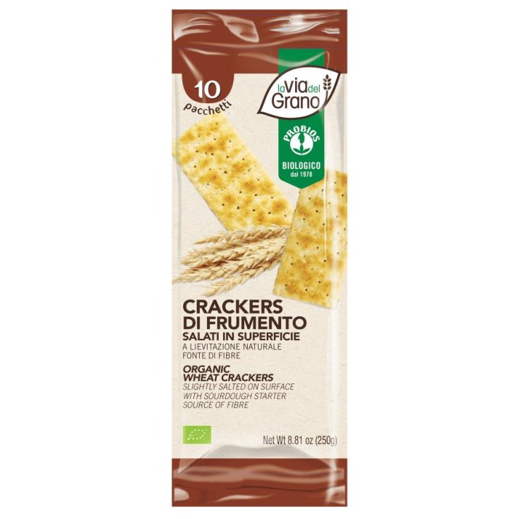 La Via Del Grano Crackers De Blé Surface Salée Probios 250g