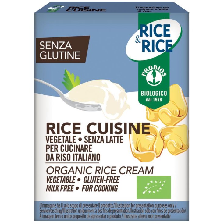 Rice & Rice Rice Cuisine Crème Végétale Probios 200ml