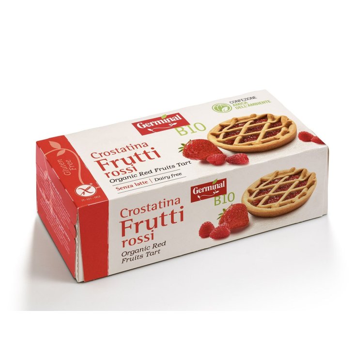 Germinal Tarte Aux Fruits Rouges Bio 200g