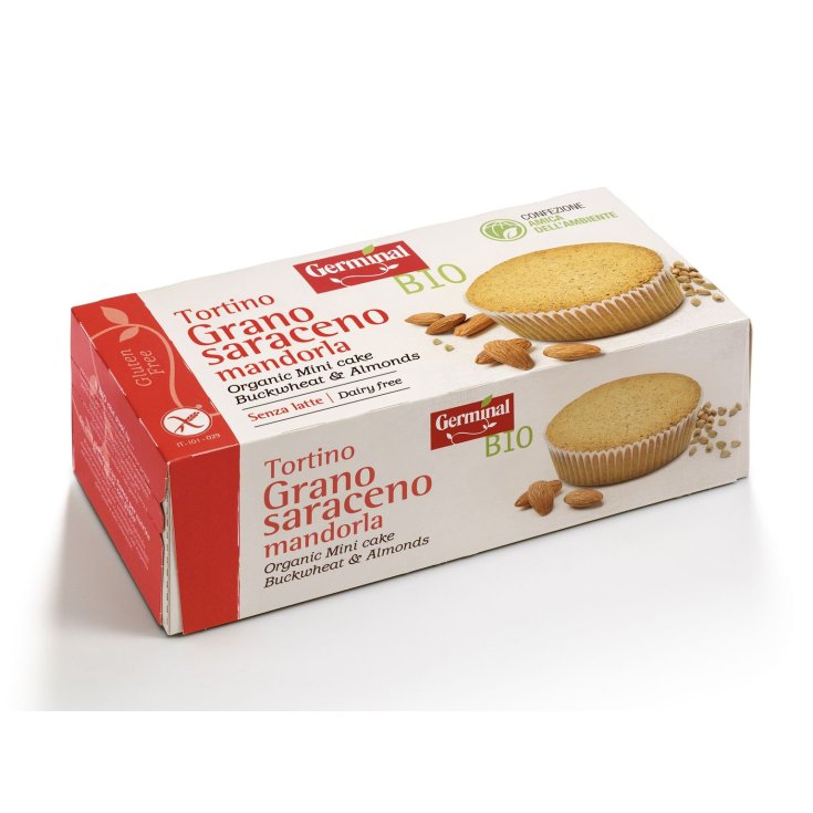 Germinal Gâteau Amande Au Sarrasin Bio 180g