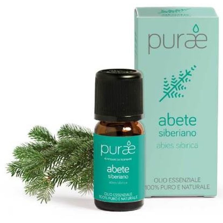 Purae Oe Fir Sib Feuille 10ml