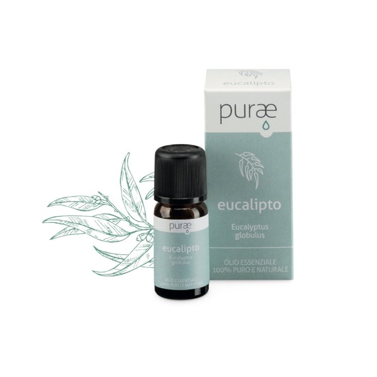 Purae Oe Feuille d'Eucalyptus 10ml