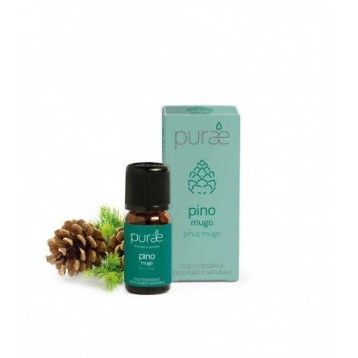 Purae Oe Mountain Pine Leaf 10 ml