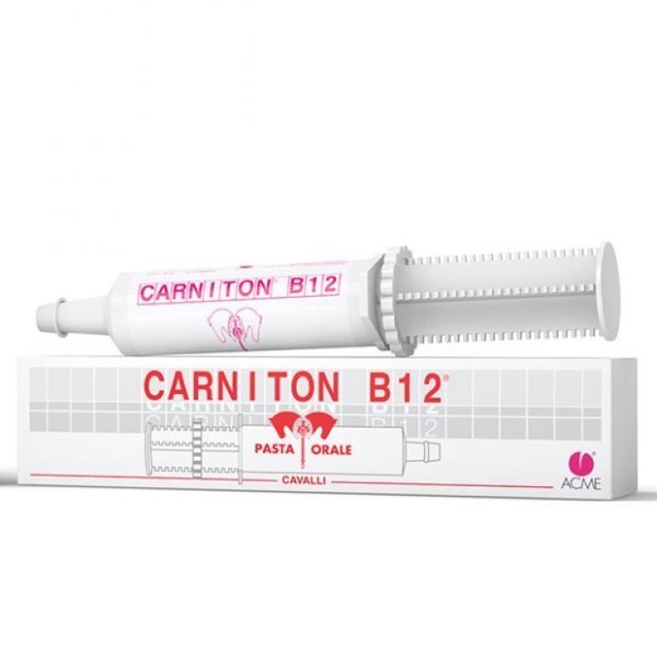 Carniton B12 Pâte ACME® 1 Seringue de 100g
