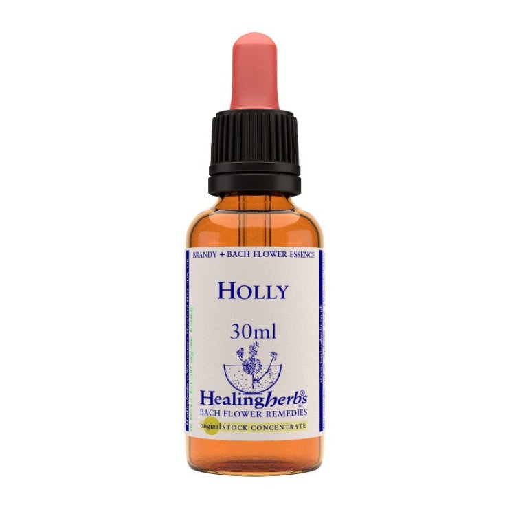 Houx Fleurs de Bach - Essences Florales 30ml