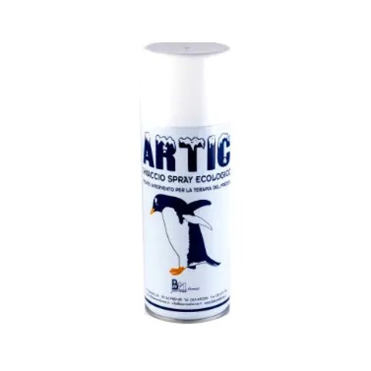 Artic Gh Instant Spr 400ml