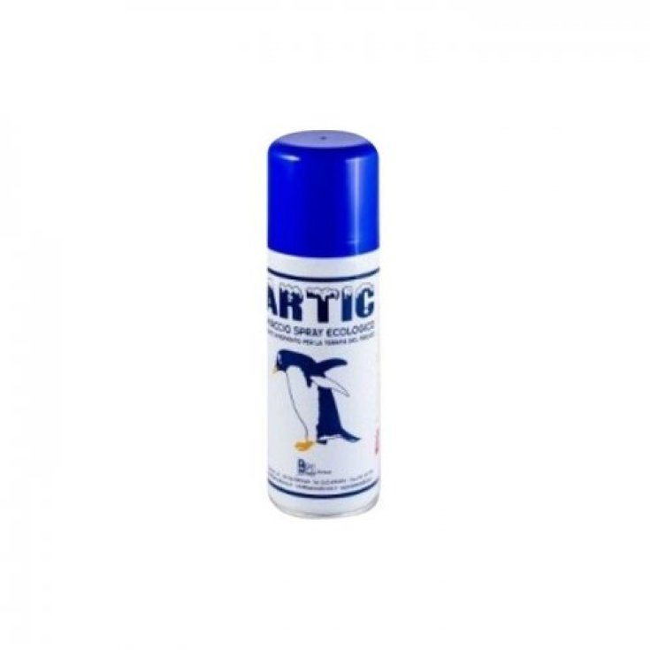 Artic Gh Instant Spr 200ml