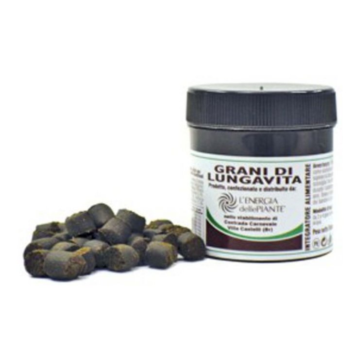 Graines de Vita Acidophilus 35