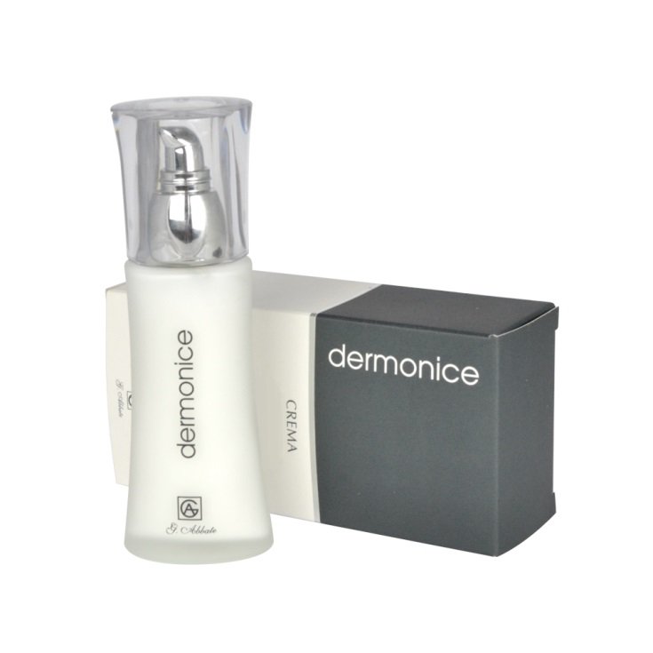 Dermonice Crème Hydratante 24h