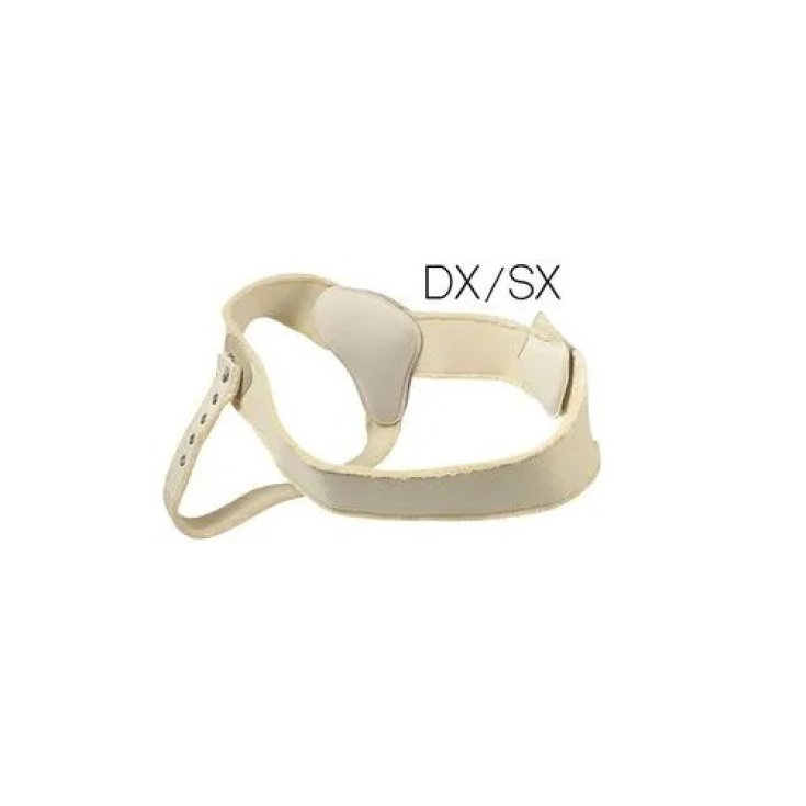 Cinto Ern Sx 105cm
