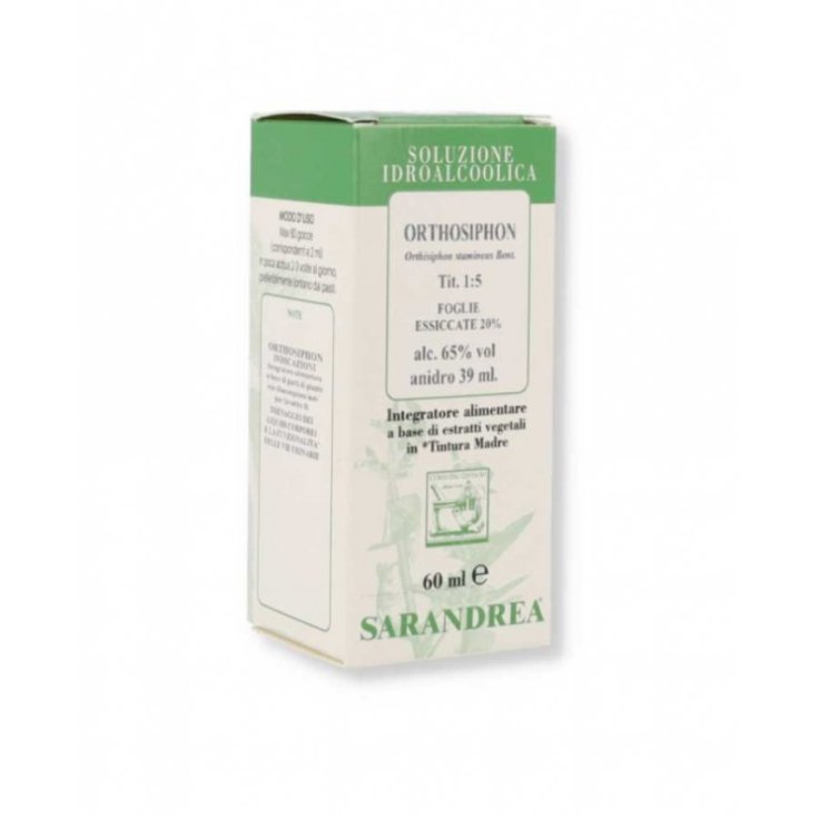 Orthosiphon 60ml Gtt