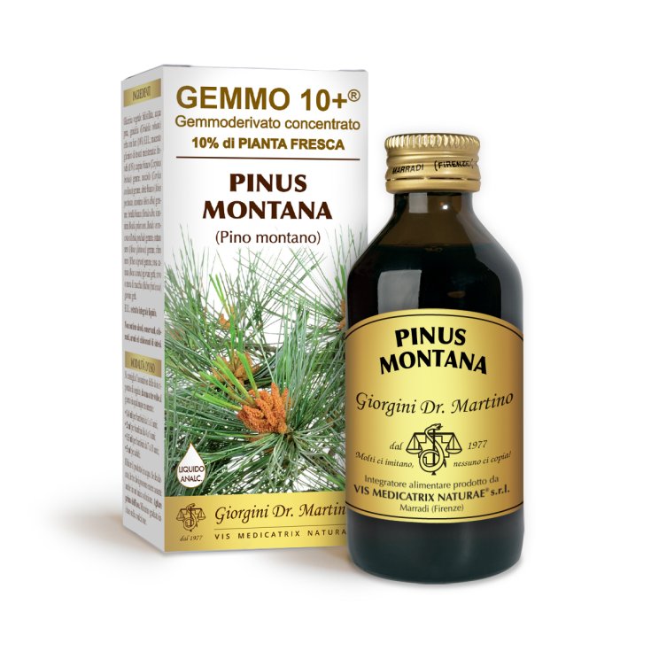 G10 + Pino Montano Dr Giorgini 100ml