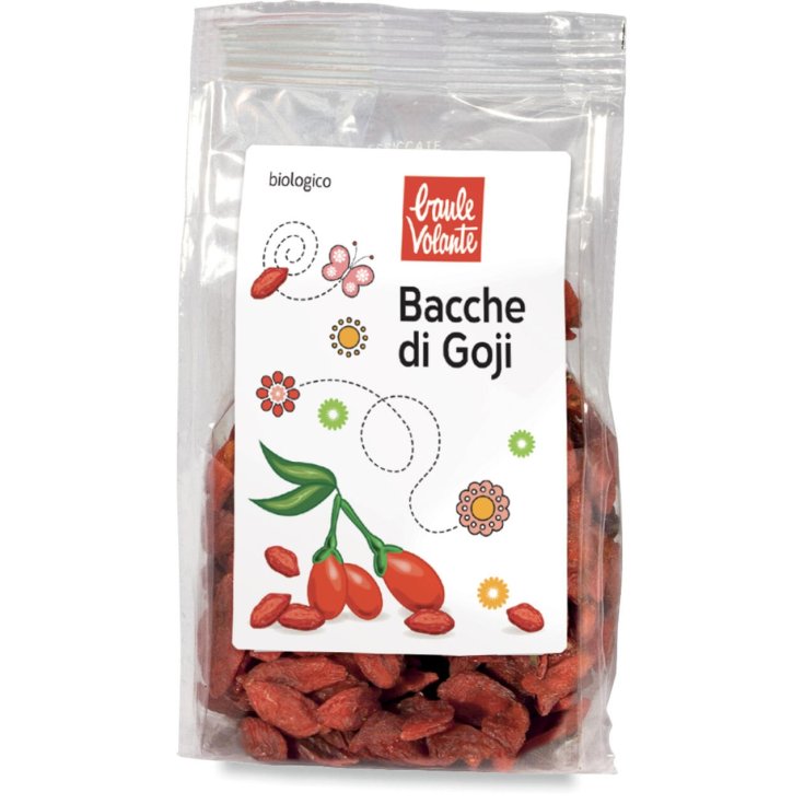 Baies de Goji 100g