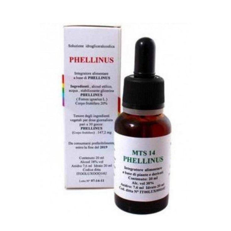 Mts14 Phellinus Gouttes 20 ml