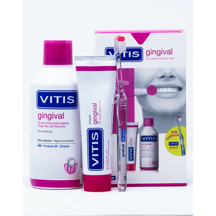 Kit Vitis Gingival15ml + 30ml + sp