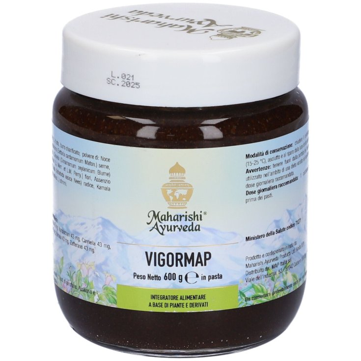 Pâtes Vigormap 600g