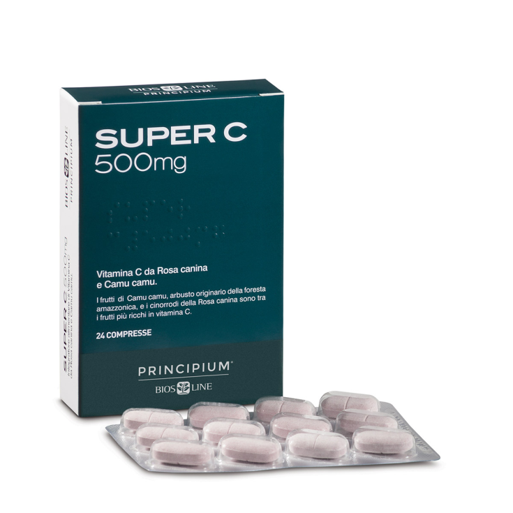 Principium Super C 500 24cpr