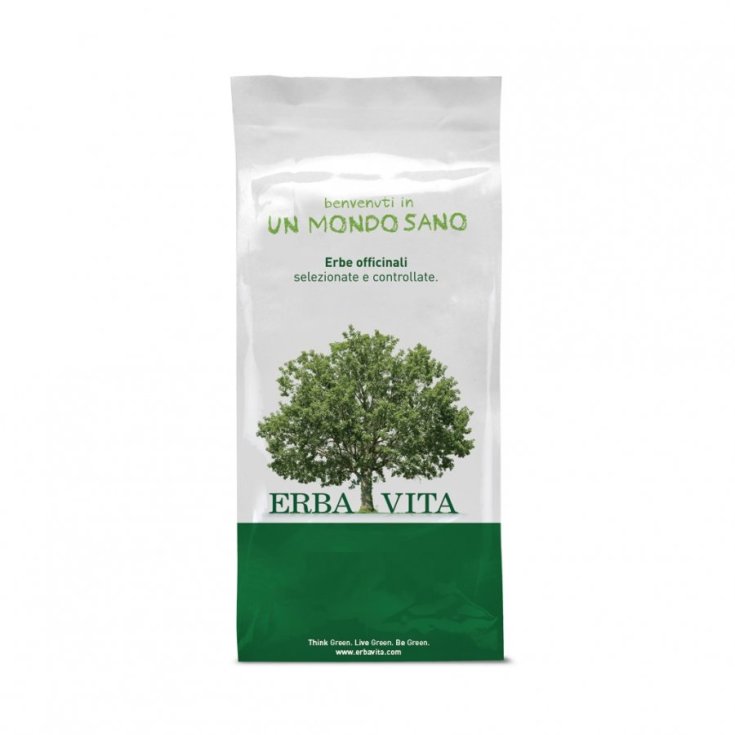 ErbaVita Tisane Le Bancha Grillé Action Antioxydante 100g