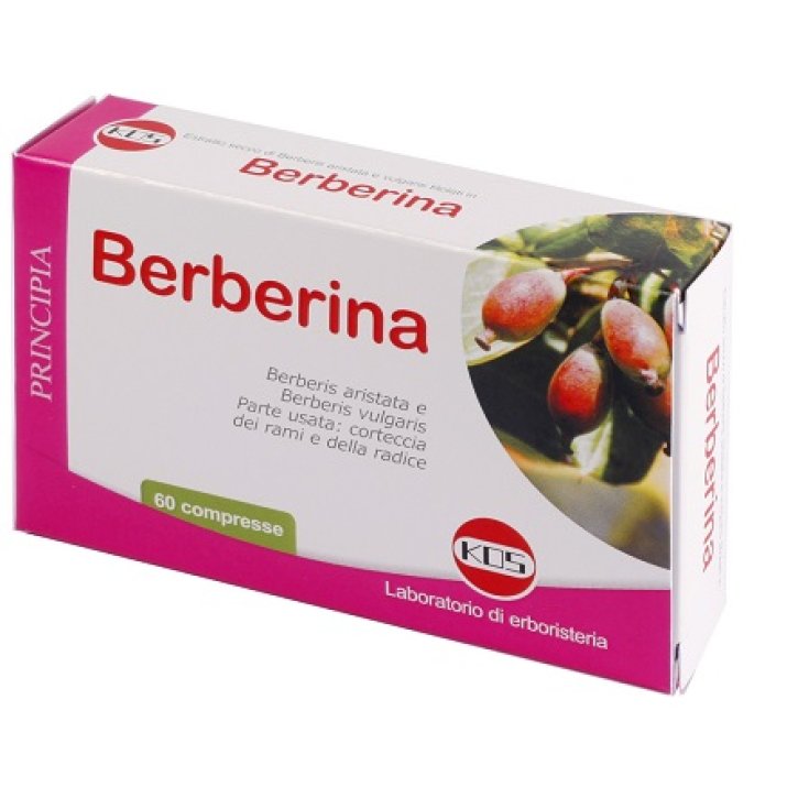 Kos Berbérine Extrait Sec Complément Alimentaire 60 Comprimés