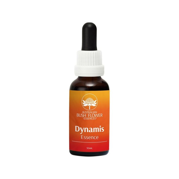 Dynamis Essences Complément Alimentaire 30ml