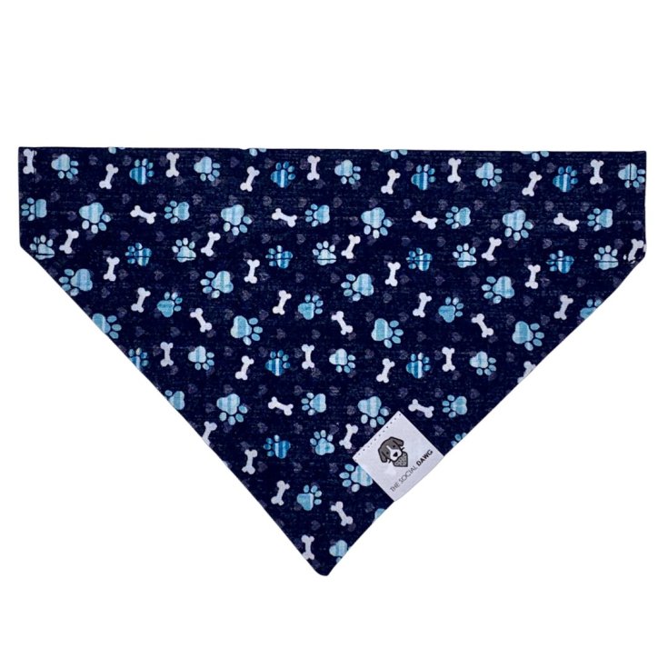 Bandana PM