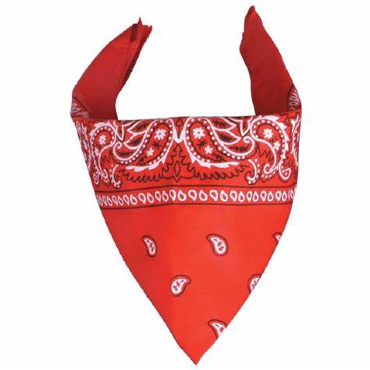 Bandana PM