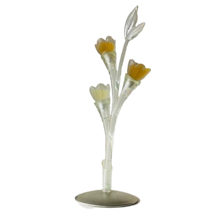 Pupa Bouquet de Parfums Fleur De Pecher 45 3x15ml