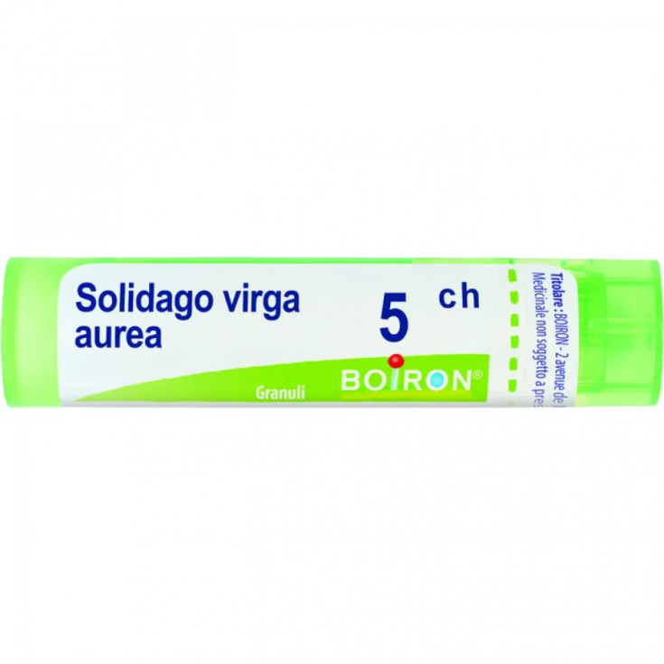 Solidago Virga Aurea 5ch Boiron Granulés 4g