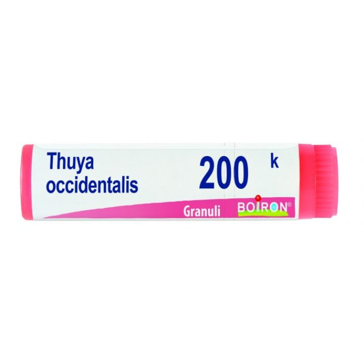 Thuya Occidentalis 200 k Boiron Globules Monodoses 1g