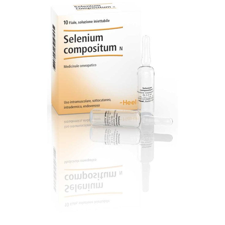 Sélénium Compositum N Talon 10 Ampoules De 2,2 ml