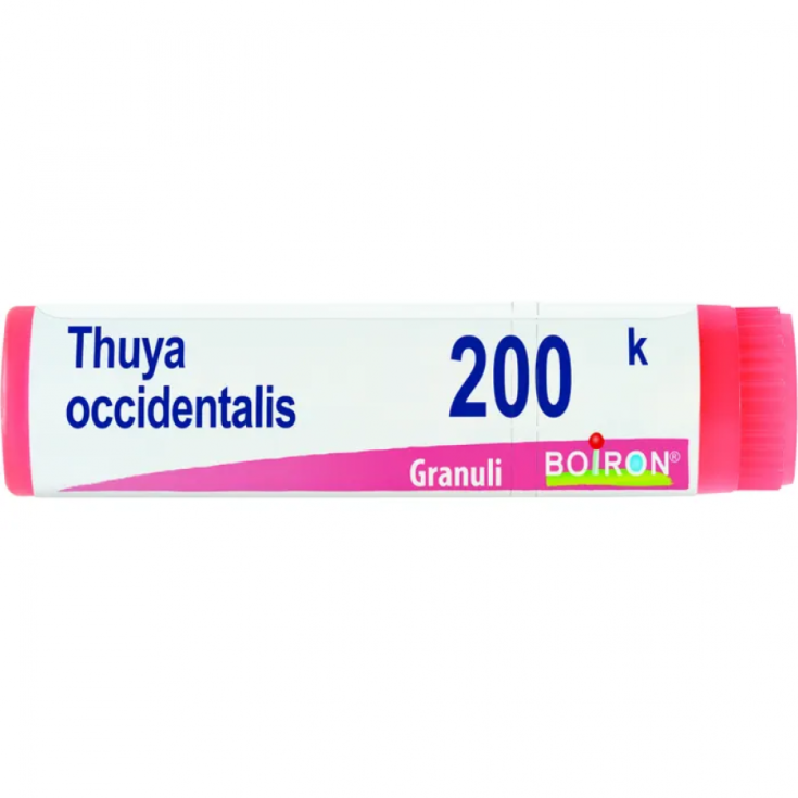 Thuya Occidentalis 200k Boiron Granulés 4g