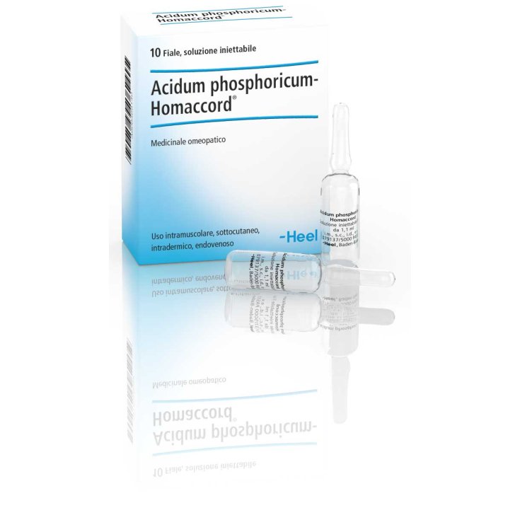 Acidum Phosphoricum-Homaccord Talon 10 Ampoules De 1,1 ml
