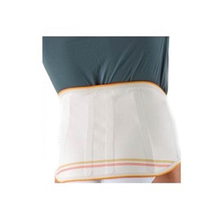 Clia Ortho Ceinture lombaire avec attelle Taille 2