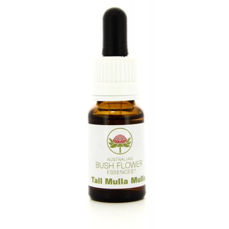 Nature Grand Mulla Mulla Essence 15 ml