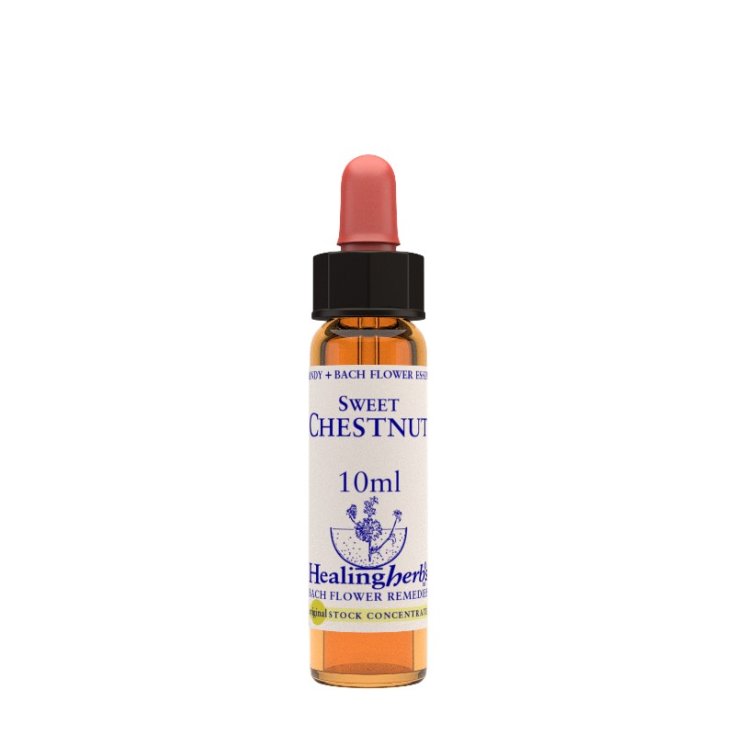 Natur Essence de Châtaignier 10ml