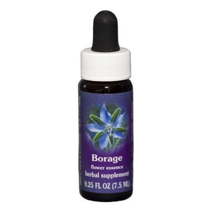 Natur Bourrache (Borago Officinalis) Essences Californiennes 7,4ml