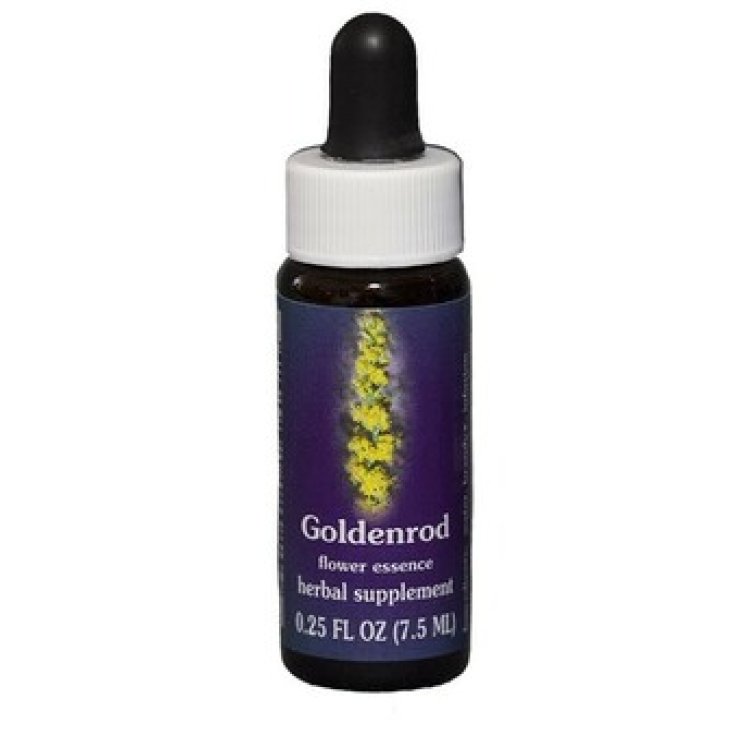 Natur Verge d'or (Solidago Californica) Essences californiennes 7,4ml