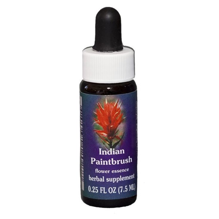 Natur Pinceau Indien (Castilleja Miniata) Essences Californiennes 7,4ml