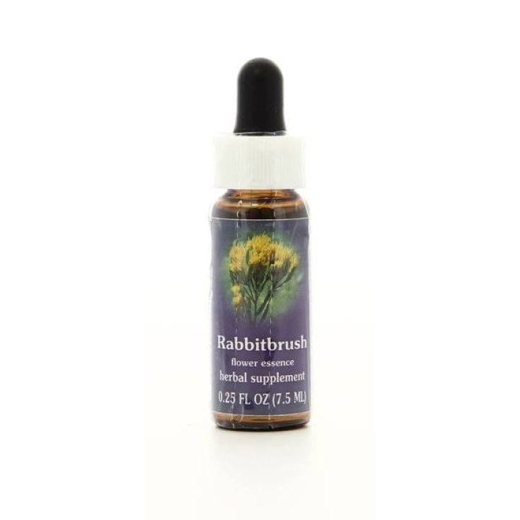 Natur Rabbitbrush (Chrysothamnus Nauseosus) Essences californiennes 7,4ml