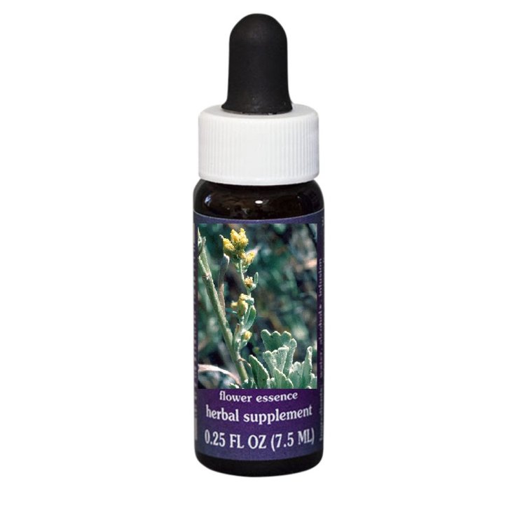 Natur Armoise (Artemisia Tridentata) Essences Californiennes 7,4ml