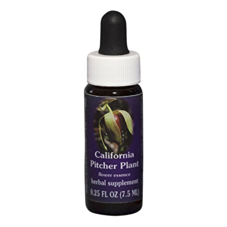Natur California Pitcher Plant (Darlingtonia Californica) Essences californiennes 7,4ml
