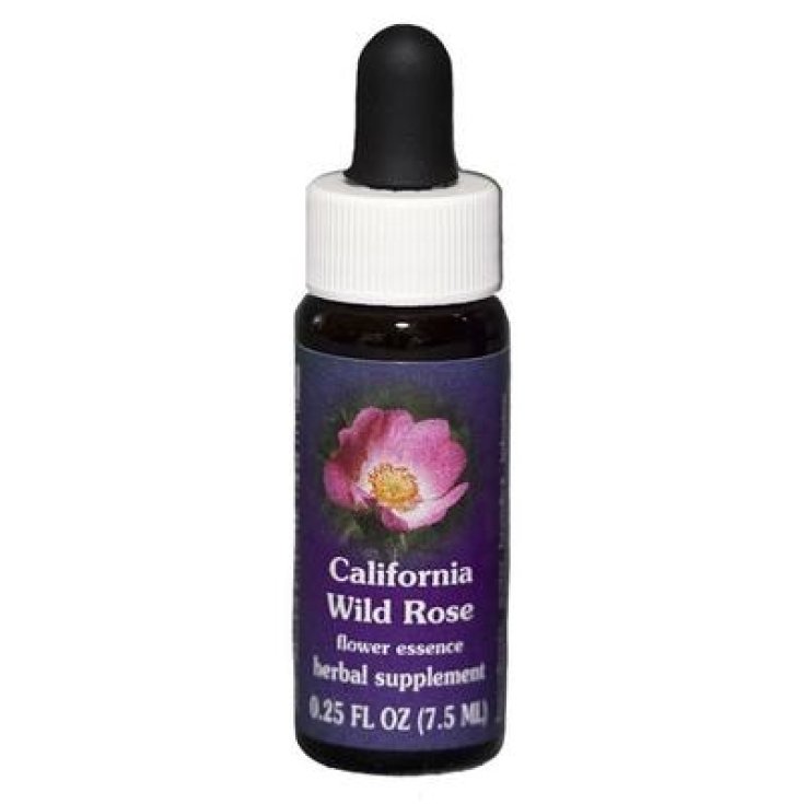 Natur California Wild Rose (Rosa Californica) Essences californiennes 7,4ml