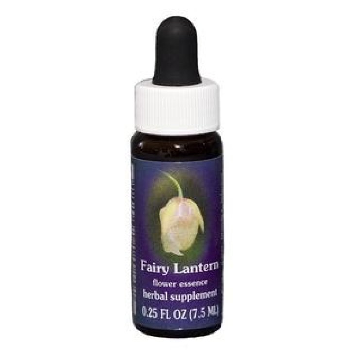 Fairy Lantern Californian Single Essence 7,4 ml