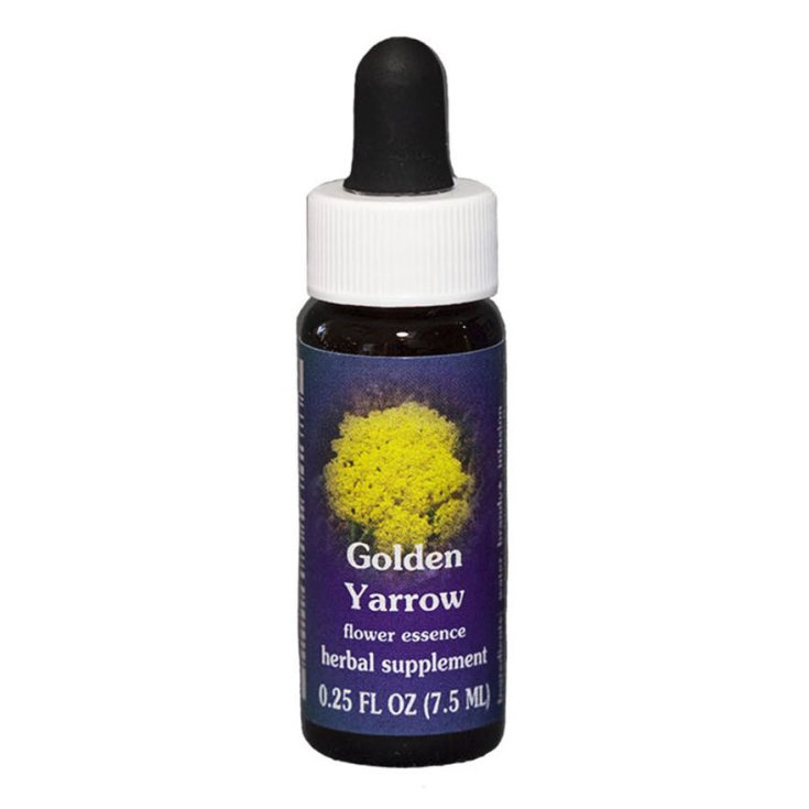 Natur Golden Yarrow (Achillea Filipendulina) Essences de Californie 7,4 ml