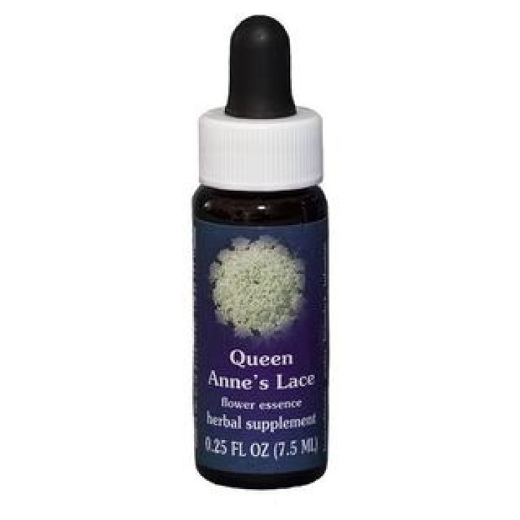 Natur Queen Anne's Lace (Daucus Carota) Essences californiennes 7,4ml