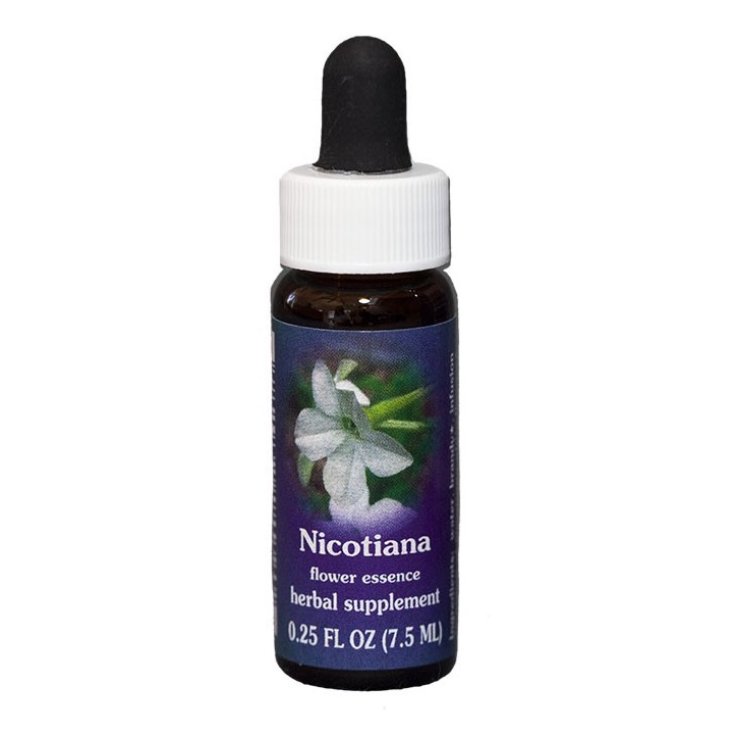 Natur Nicotiana (Nicotiana Alata) Essences Californiennes 7,4ml