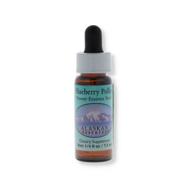 Natur Blueberry Pollen Essences Florales d'Alaska 7,4ml