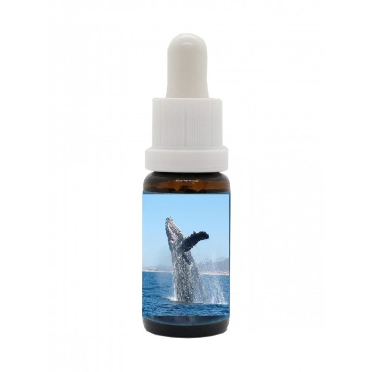 Natur Whale Essence Korte - PHI 15ml