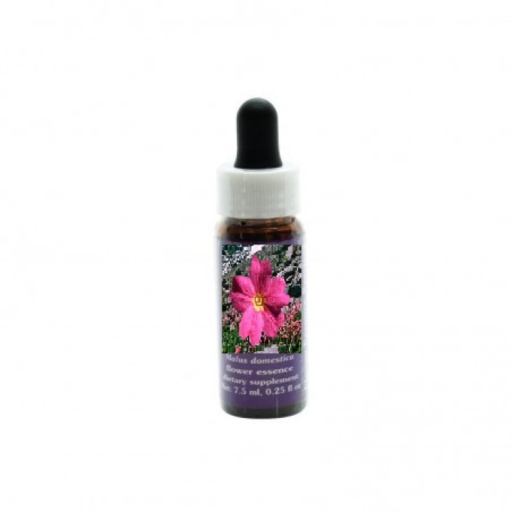 Natur Sierra Primrose Essences florales californiennes 7,4 ml