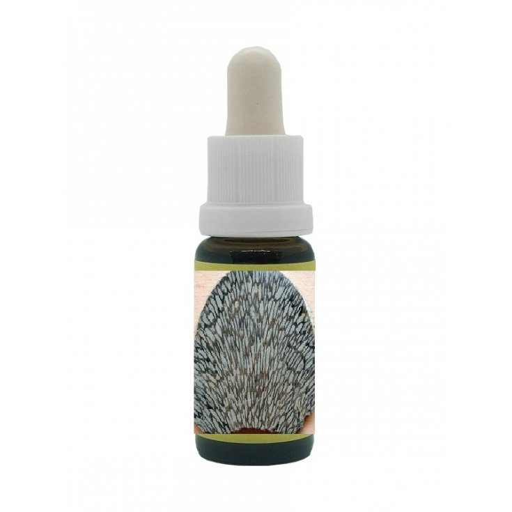 Corail 15ml Korté